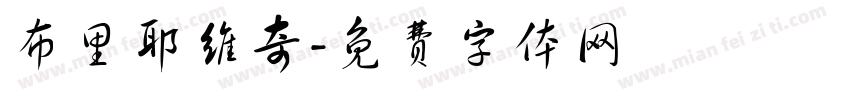 布里耶维奇字体转换