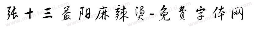 张十三益阳麻辣烫字体转换