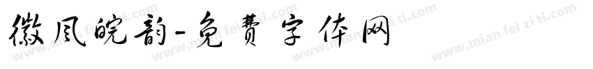 徽风皖韵字体转换