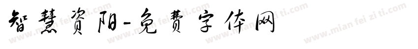 智慧资阳字体转换