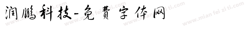 润鹏科技字体转换