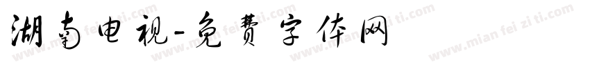 湖南电视字体转换