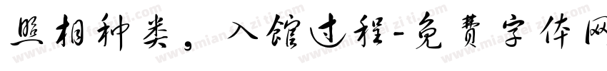 照相种类，入馆过程字体转换