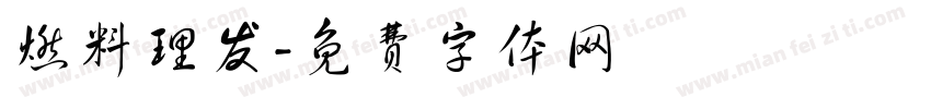 燃料理发字体转换