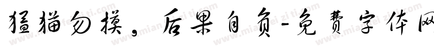 猛猫勿摸，后果自负字体转换