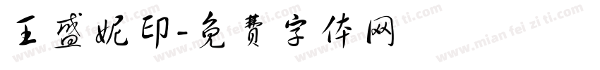 王盛妮印字体转换