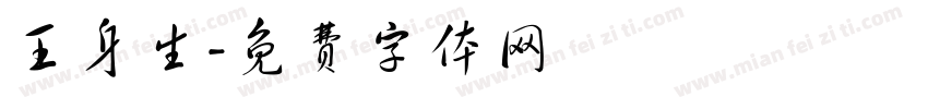 王身生字体转换