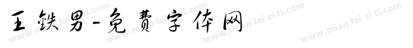 王铁男字体转换