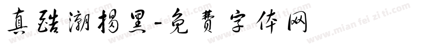 真酷潮揭黑字体转换