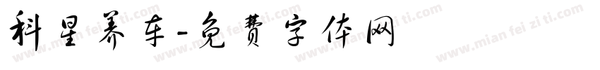 科星养车字体转换