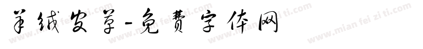 羊绒皮草字体转换