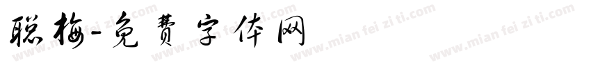 聪梅字体转换
