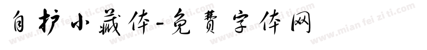 自护小藏体字体转换