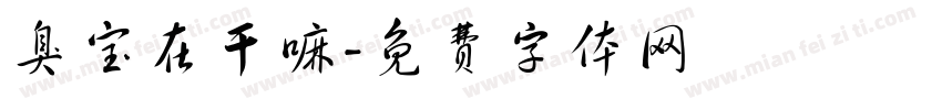 臭宝在干嘛字体转换