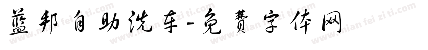 蓝邦自助洗车字体转换