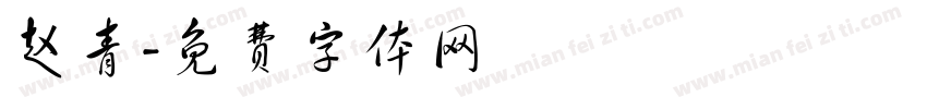 赵青字体转换