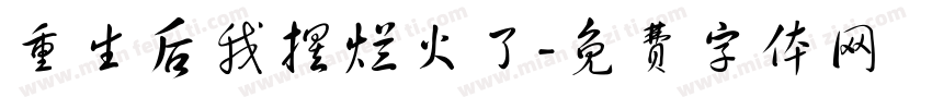 重生后我摆烂火了字体转换
