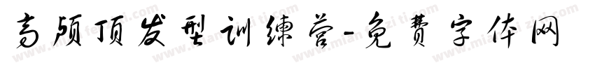 高颅顶发型训练营字体转换