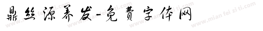 鼎丝源养发字体转换