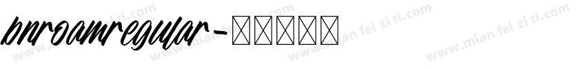 bnroamregular字体转换