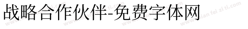 战略合作伙伴字体转换