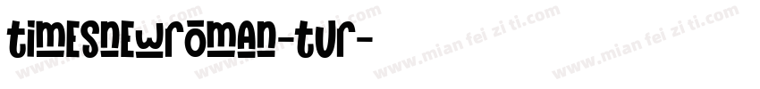 timesnewroman-tur字体转换
