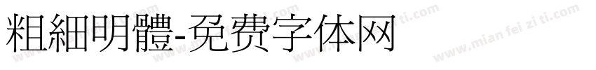粗細明體字体转换