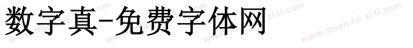 数字真字体转换