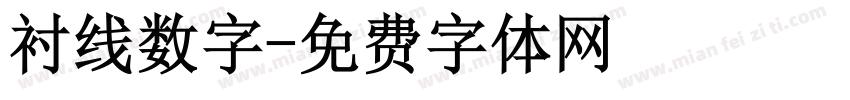 衬线数字字体转换