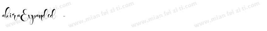akiraExpanded字体字体转换
