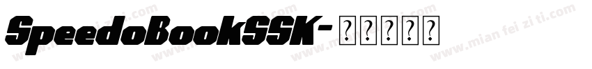 SpeedoBookSSK字体转换