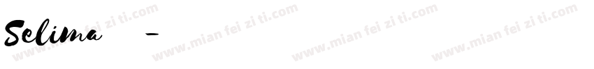 Selima英文字体字体转换