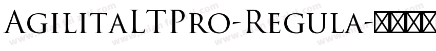AgilitaLTPro-Regula字体转换