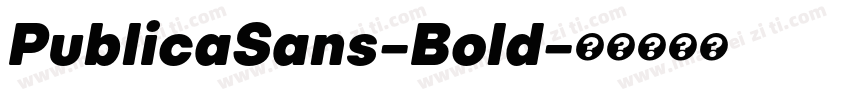 PublicaSans-Bold字体转换