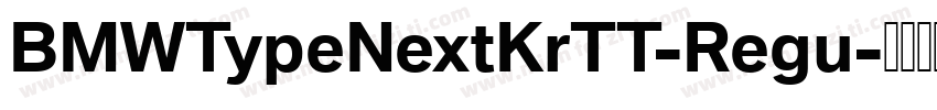 BMWTypeNextKrTT-Regu字体转换
