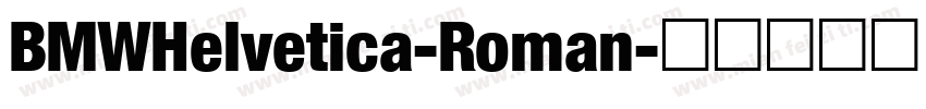 BMWHelvetica-Roman字体转换
