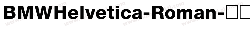 BMWHelvetica-Roman字体转换