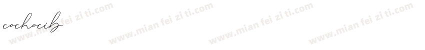 cochocib字体转换