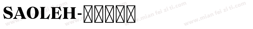 SAOLEH字体转换