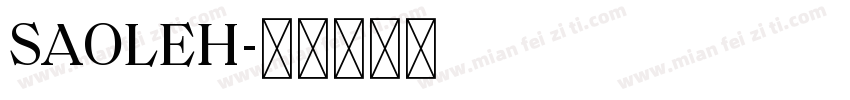 SAOLEH字体转换