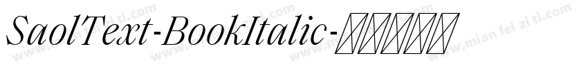 SaolText-BookItalic字体转换