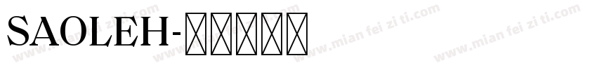 SAOLEH字体转换