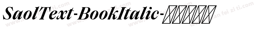 SaolText-BookItalic字体转换