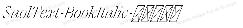SaolText-BookItalic字体转换