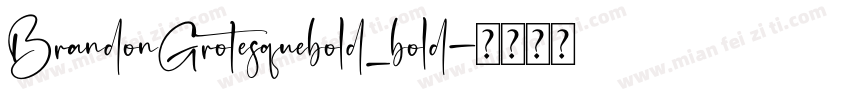 BrandonGrotesquebold_bold字体转换