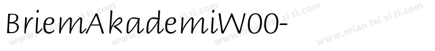 BriemAkademiW00字体转换