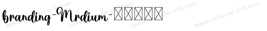 branding-Mrdium字体转换