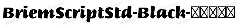 BriemScriptStd-Black字体转换