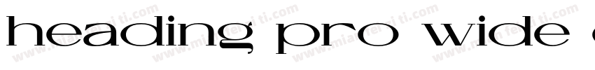 heading-pro-wide-ext字体转换