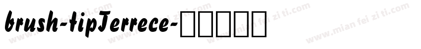 brush-tipTerrece字体转换